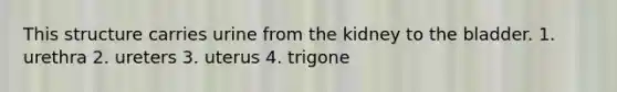 This structure carries urine from the kidney to the bladder. 1. urethra 2. ureters 3. uterus 4. trigone