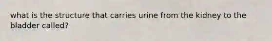 what is the structure that carries urine from the kidney to the bladder called?