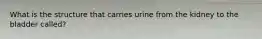 What is the structure that carries urine from the kidney to the bladder called?