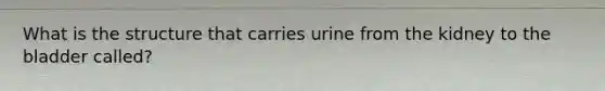 What is the structure that carries urine from the kidney to the bladder called?