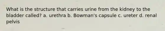 What is the structure that carries urine from the kidney to the bladder called? a. urethra b. Bowman's capsule c. ureter d. renal pelvis