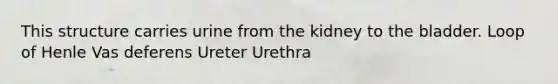 This structure carries urine from the kidney to the bladder. Loop of Henle Vas deferens Ureter Urethra