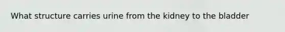 What structure carries urine from the kidney to the bladder