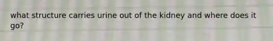 what structure carries urine out of the kidney and where does it go?
