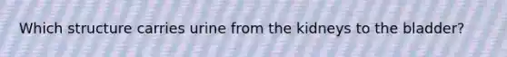 Which structure carries urine from the kidneys to the bladder?