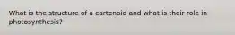 What is the structure of a cartenoid and what is their role in photosynthesis?