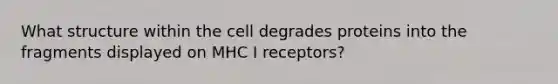 What structure within the cell degrades proteins into the fragments displayed on MHC I receptors?