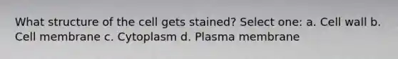 What structure of the cell gets stained? Select one: a. Cell wall b. Cell membrane c. Cytoplasm d. Plasma membrane