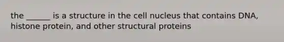 the ______ is a structure in the cell nucleus that contains DNA, histone protein, and other structural proteins