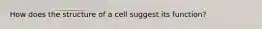 How does the structure of a cell suggest its function?