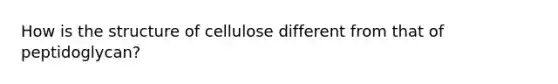 How is the structure of cellulose different from that of peptidoglycan?