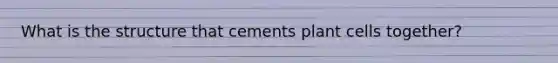 What is the structure that cements plant cells together?