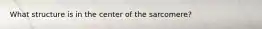 What structure is in the center of the sarcomere?