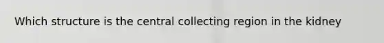 Which structure is the central collecting region in the kidney