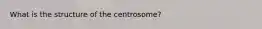 What is the structure of the centrosome?