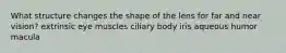 What structure changes the shape of the lens for far and near vision? extrinsic eye muscles ciliary body iris aqueous humor macula