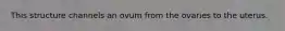 This structure channels an ovum from the ovaries to the uterus.