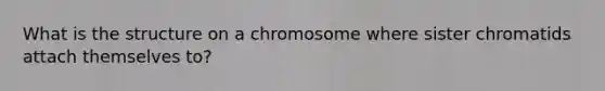 What is the structure on a chromosome where sister chromatids attach themselves to?