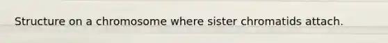 Structure on a chromosome where sister chromatids attach.