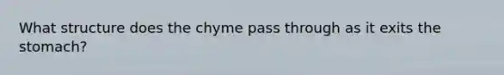 What structure does the chyme pass through as it exits <a href='https://www.questionai.com/knowledge/kLccSGjkt8-the-stomach' class='anchor-knowledge'>the stomach</a>?