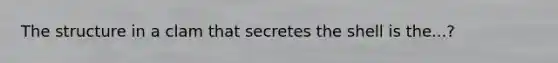 The structure in a clam that secretes the shell is the...?