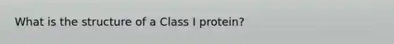 What is the structure of a Class I protein?