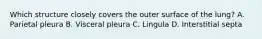 Which structure closely covers the outer surface of the lung? A. Parietal pleura B. Visceral pleura C. Lingula D. Interstitial septa