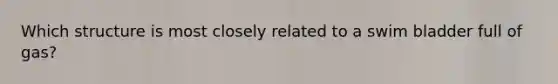 Which structure is most closely related to a swim bladder full of gas?