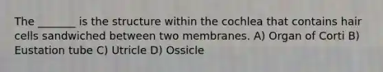 The _______ is the structure within the cochlea that contains hair cells sandwiched between two membranes. A) Organ of Corti B) Eustation tube C) Utricle D) Ossicle