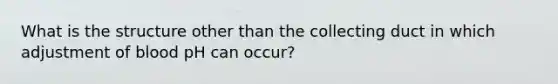 What is the structure other than the collecting duct in which adjustment of blood pH can occur?