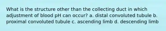 What is the structure other than the collecting duct in which adjustment of blood pH can occur? a. distal convoluted tubule b. proximal convoluted tubule c. ascending limb d. descending limb