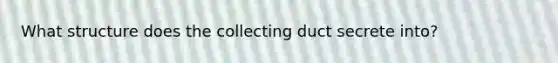 What structure does the collecting duct secrete into?