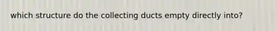 which structure do the collecting ducts empty directly into?