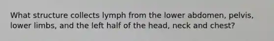 What structure collects lymph from the lower abdomen, pelvis, lower limbs, and the left half of the head, neck and chest?