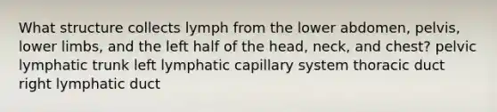 What structure collects lymph from the lower abdomen, pelvis, lower limbs, and the left half of the head, neck, and chest? pelvic lymphatic trunk left lymphatic capillary system thoracic duct right lymphatic duct