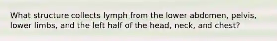 What structure collects lymph from the lower abdomen, pelvis, <a href='https://www.questionai.com/knowledge/kF4ILRdZqC-lower-limb' class='anchor-knowledge'>lower limb</a>s, and the left half of the head, neck, and chest?