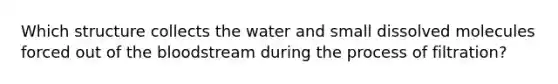 Which structure collects the water and small dissolved molecules forced out of the bloodstream during the process of filtration?