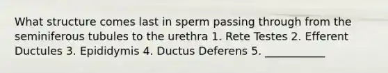 What structure comes last in sperm passing through from the seminiferous tubules to the urethra 1. Rete Testes 2. Efferent Ductules 3. Epididymis 4. Ductus Deferens 5. ___________