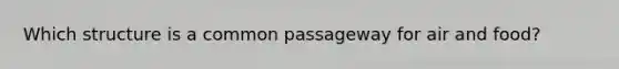 Which structure is a common passageway for air and food?