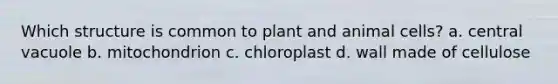 Which structure is common to plant and animal cells? a. central vacuole b. mitochondrion c. chloroplast d. wall made of cellulose