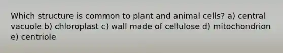 Which structure is common to plant and animal cells? a) central vacuole b) chloroplast c) wall made of cellulose d) mitochondrion e) centriole