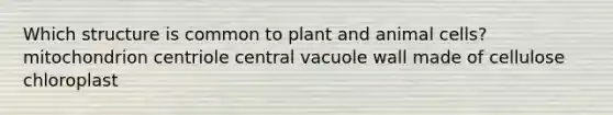 Which structure is common to plant and animal cells? mitochondrion centriole central vacuole wall made of cellulose chloroplast