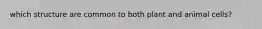 which structure are common to both plant and animal cells?
