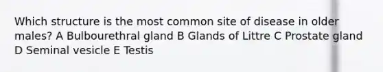 Which structure is the most common site of disease in older males? A Bulbourethral gland B Glands of Littre C Prostate gland D Seminal vesicle E Testis