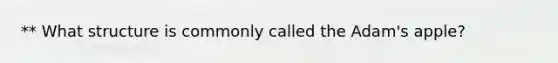 ** What structure is commonly called the Adam's apple?