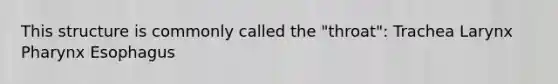 This structure is commonly called the "throat": Trachea Larynx Pharynx Esophagus