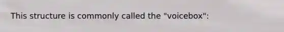 This structure is commonly called the "voicebox":