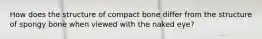 How does the structure of compact bone differ from the structure of spongy bone when viewed with the naked eye?