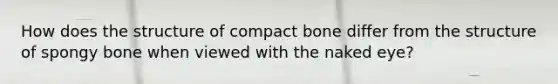 How does the structure of compact bone differ from the structure of spongy bone when viewed with the naked eye?