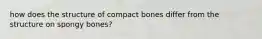 how does the structure of compact bones differ from the structure on spongy bones?